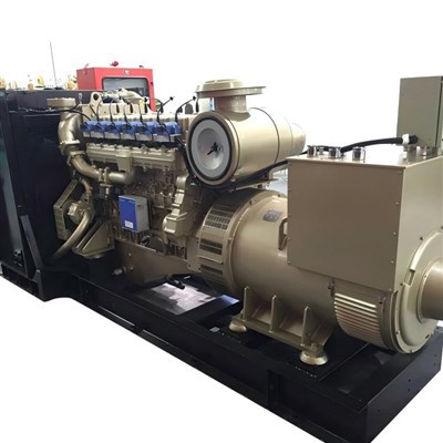 350KW naturgasgeneratorset